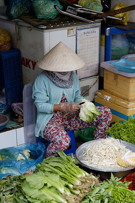 Ho Chi Minh ville-028